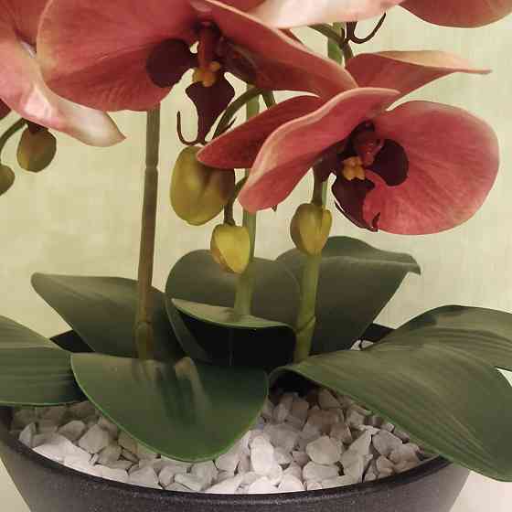 Штучна латексна орхідея VIP у керамічному кашпо кольору антрацит на три гілки персикова Дніпро