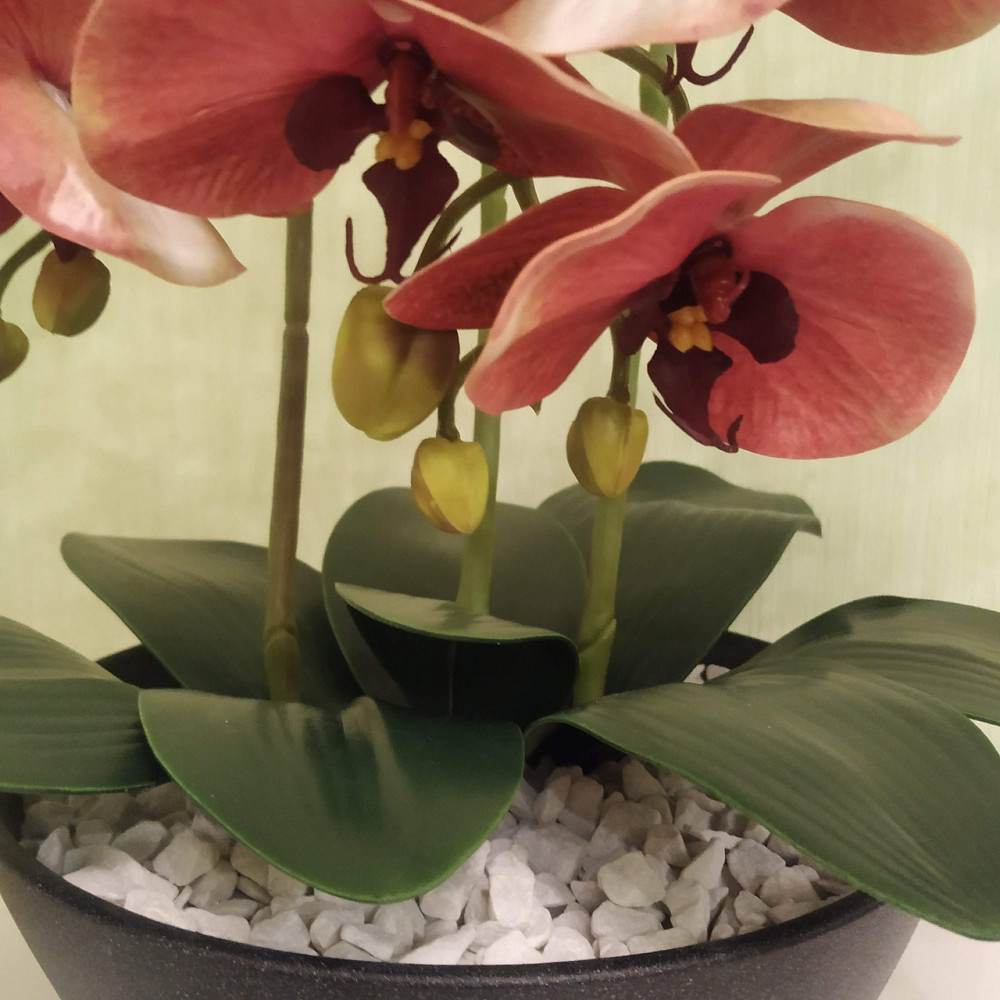 Штучна латексна орхідея VIP у керамічному кашпо кольору антрацит на три гілки персикова Дніпро - фото 6