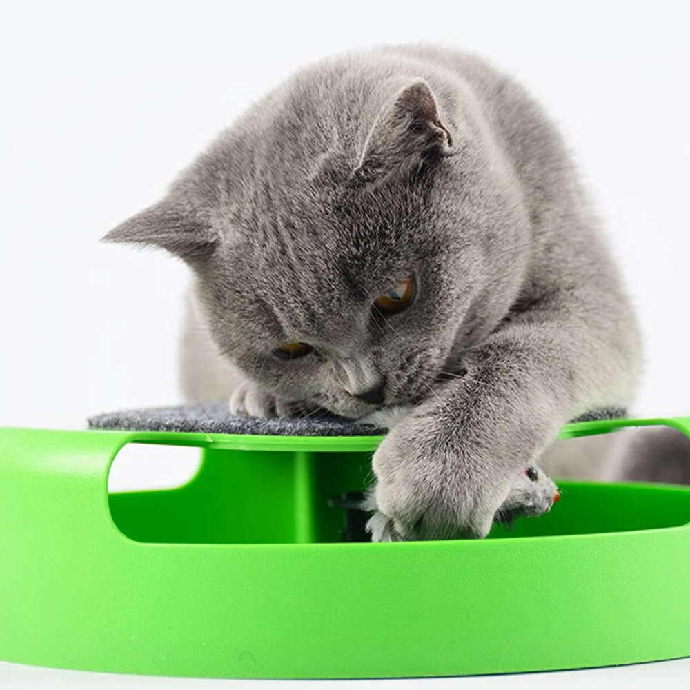 Інтерактивна іграшка для кота "Злови мишку" з кігтеточкою,Зелена SBR Київ - фото 2