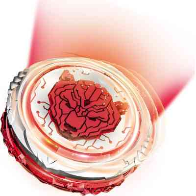 Дзига Auldey Infinity Nado VI Battle Set Fury Wave Dragon vs Blazing War Bear (EU654181) Вінниця