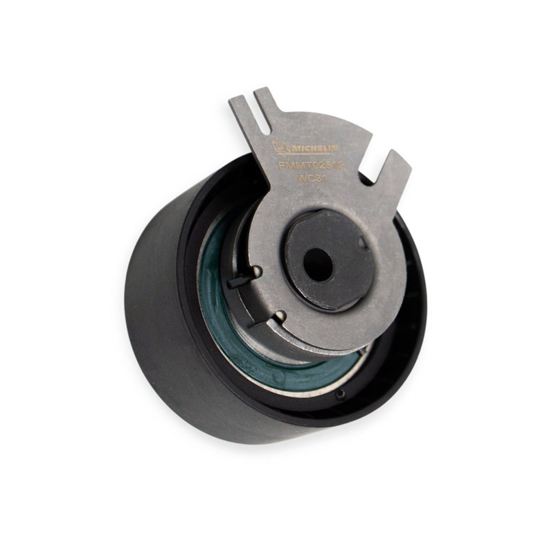 Ремкомплект Рено Майстер 2.5dCi (98-10) (ремінь, ролики) ГРМ Мукачево - фото 4