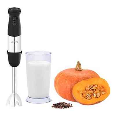 Блендер ECG RM 750 (RM750) Вінниця