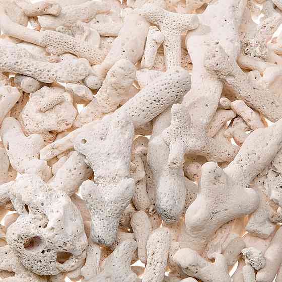 Гранули карбонату кальцію для акваріумів Ferplast Blucalcium (Ферпласт Блукальциум) Запоріжжя