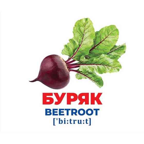 Набор развивающих карточек Гений с пеленок 