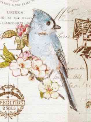 Фотоальбом UFO 20sheet S22x32 Bird (6979071) Київ