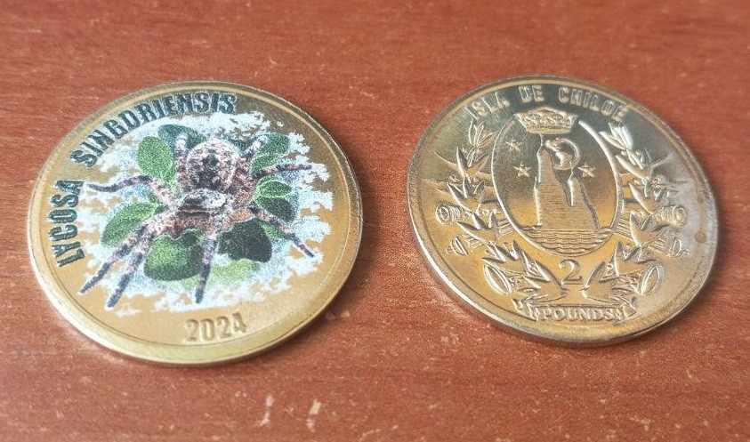 Острів де ЧІЛІ 2 фунта 2024 павук Полтава - изображение 1