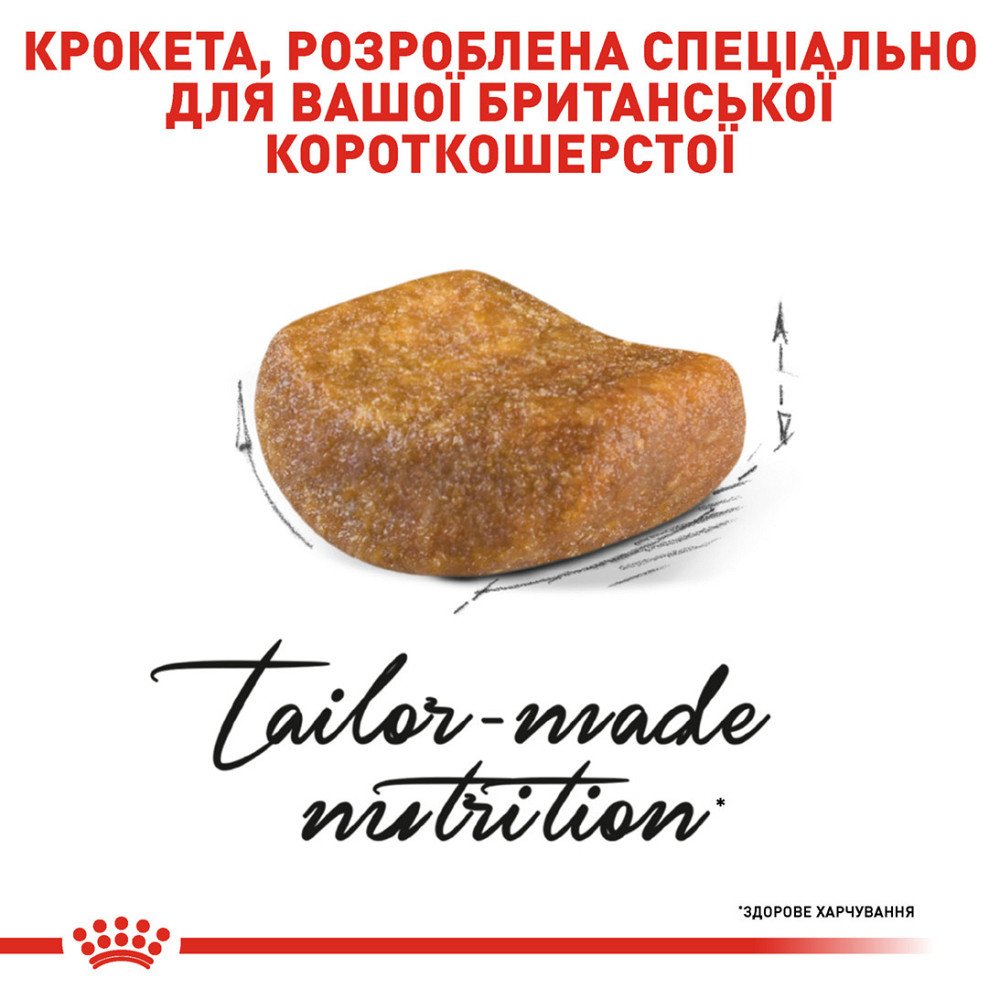 Корм для дорослих котів ROYAL CANIN BRITISH SHORTHAIR ADULT 10.0 кг Київ - фото 4