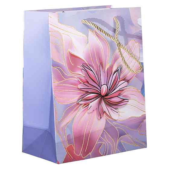 Набір красивих подарункових пакетів з паперу 12 шт. Київ