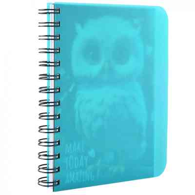 Блокнот Yes В6 Owl 144 листа пластиковая обложка (681993) Винница