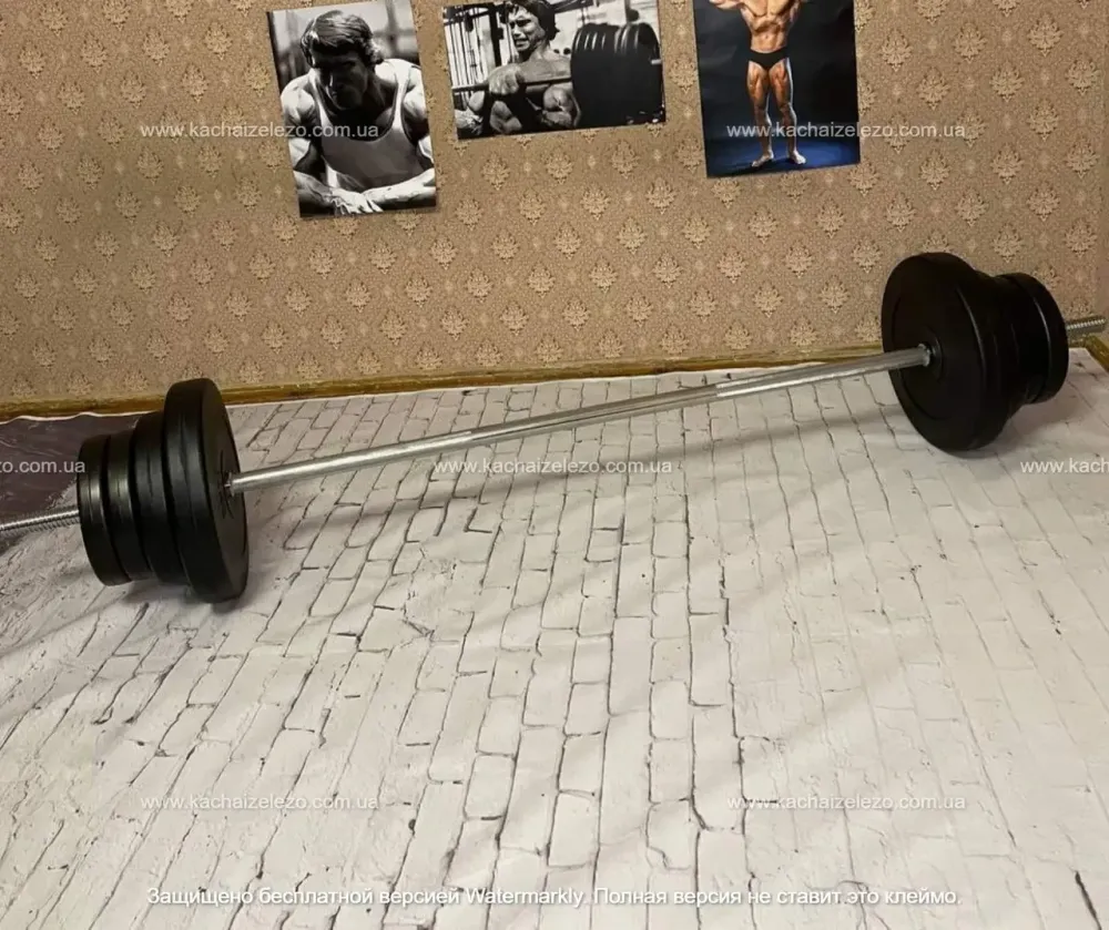 Скамья для жима + Штанга с прямым грифом 50 кг Гантели, гири, штанги и диски АВС пластик комплект Киев - изображение 10
