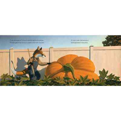 Книга Лис Тимко та його сад - Браян Ліс А-ба-ба-га-ла-ма-га (9786175851715) Вінниця