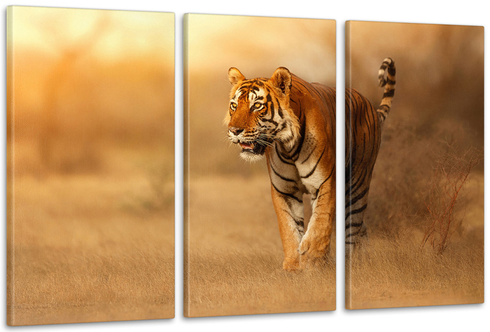 Модульна картина Природа Тигр Аrt-183_3А Київ - фото 1