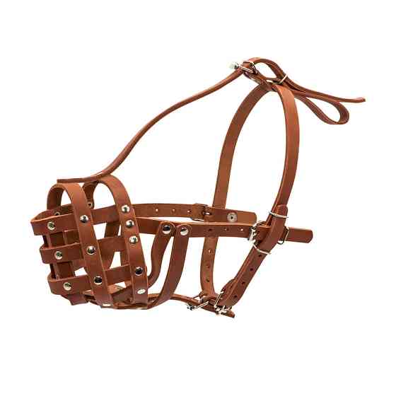 Намордник твердий "CoLLaR" (ротвейлер великий) коричневий Коломия