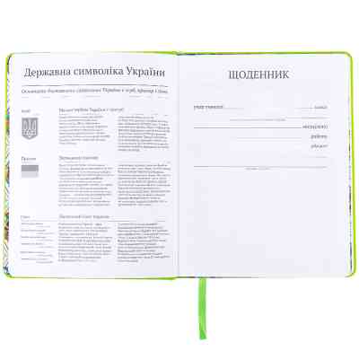 Щоденник шкільний Kite Ninja Turtles, тверда обкладинка (NT25-264) Вінниця