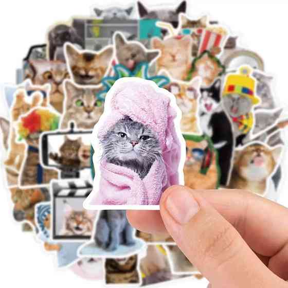 Стикеры с котами. Водонепроницаемые виниловые эстетические наклейки, набор 65 штук. Киев