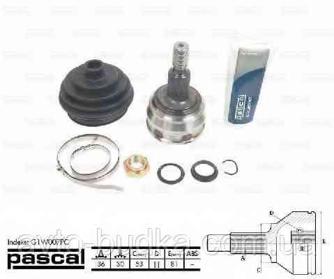 Кулак поворотний (зовнішній) на VW GOLF IV мотор 1,4 16V - POSCAL (Польща) - G1W007PC Новий Розділ