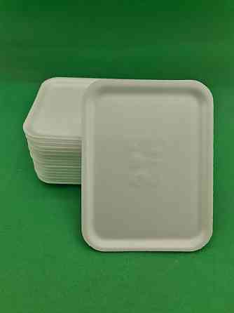 Лоток зі спіненого полістиролу (178*135*10) C-11 (500 шт) Харків