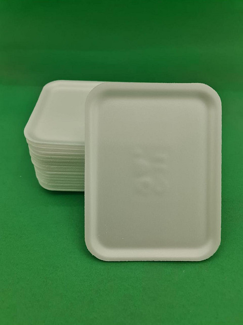 Лоток зі спіненого полістиролу (178*135*10) C-11 (500 шт) Харків - фото 1