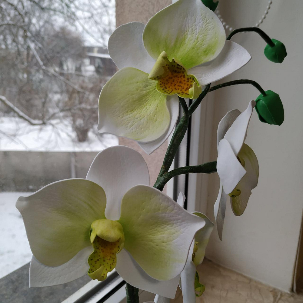 Світильник-нічник "Орхідея Біло-салатова" Дніпро - фото 7