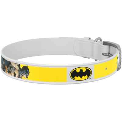 Ошейник для животных WAUDOG Design с QR паспортом "Бэтмен 2" L Ш 25 мм Д 38-49 см(белый) (0025-1004-15) Винница