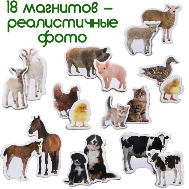 Набір магнітів Magdum "Ферма Мами і малюки" ML4031-08 EN Вінниця - фото 5