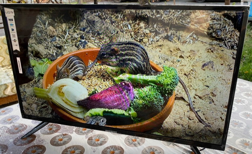 Телевизор: Samsung 42