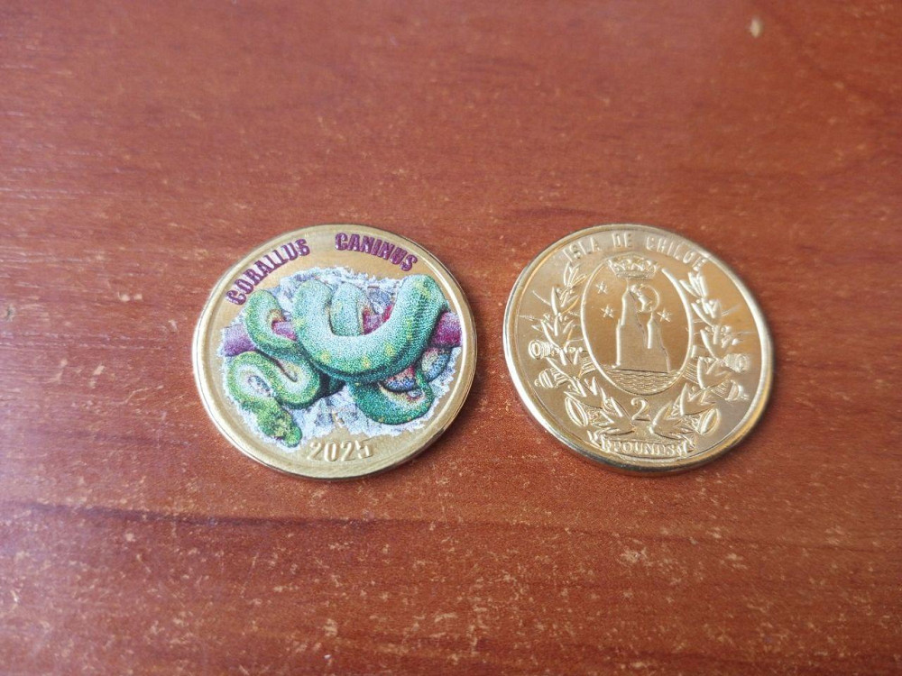 Острів де ЧІЛІ 2 фунта 2025 змія Полтава - фото 1