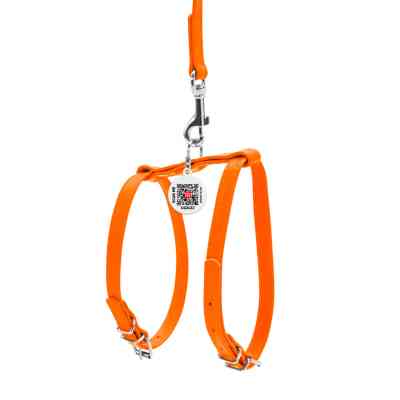 Шлея для собак WAUDOG Glamour з повідцем шкіряна Ш 9 мм А 20-30 см В 30-40 см помаранчева (33994) Вінниця