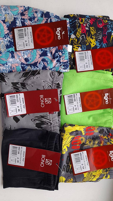 Трусы мужские шорты Bono 950323 50, Кактусы Киев - изображение 6