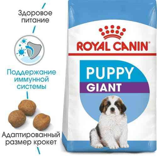 Royal Canin Giant Puppy (Рояв Канін Джайнт Паппі) сухий корм для цуценят дуже великих порід 15 кілограмів. Запоріжжя