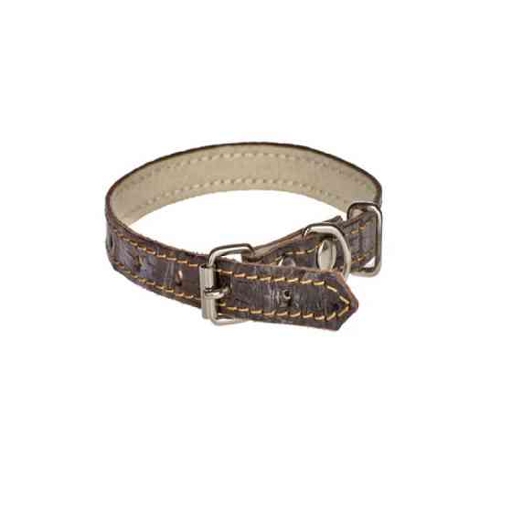Нашийник 195 10мм "Рептилія" шкіра подвійний Вінниця