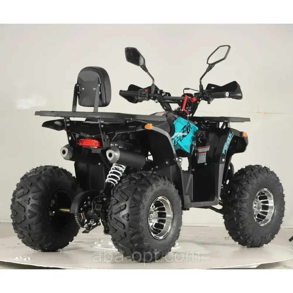 Квадроцикл FORTE ATV125P Об'єм 125 см³ шини 19х7-8R"-18х9.5-8R" 11 к.с. бездоріжжя купити в Україні дешево Одеса - фото 10
