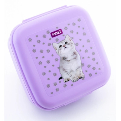 Ланч-бокс детский Maxi 850 мл (MX98121) Винница - изображение 1