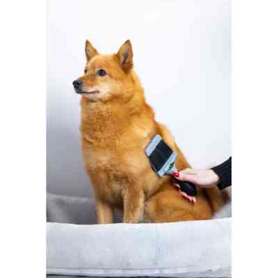 Расческа для животных FURminator пуходерка жесткая L (4048422153184) Винница