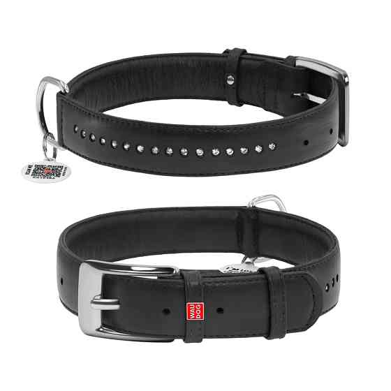 Нашийник для собак шкіряний WAUDOG Glamour з QR паспортом, подвійний зі стразами, M, Ш 20 мм, Д Коломия