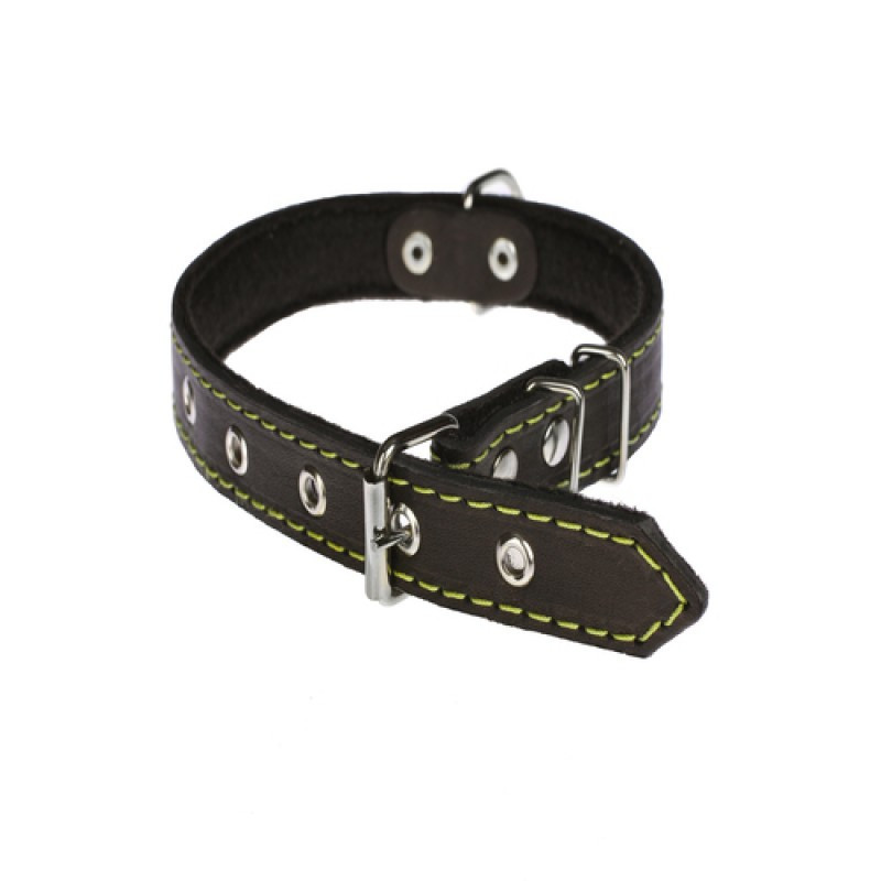 Нашийник 214 20мм "Класик" шкіра + синтепон Вінниця - фото 1