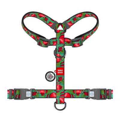 Шлея для собак WAUDOG Nylon анатомічна H-подібна з QR-паспортом "Гранати" пластиковий фастекс, M (344-4052) Вінниця