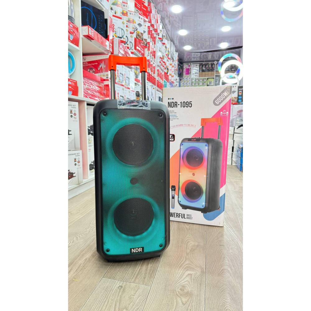 Портативна бездротова колонка NDR-1095 8 дюймів 6000Вт Вінниця - фото 6