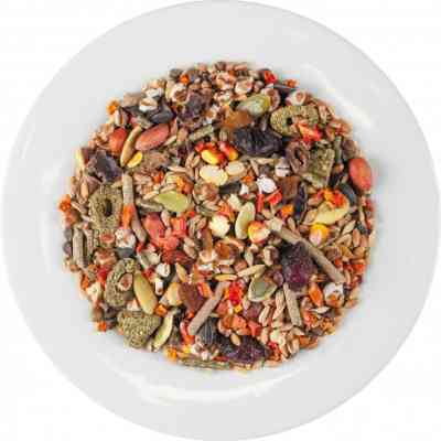 Корм для грызунов Special One для декоративных крыс 500 г (4823082421190) Винница