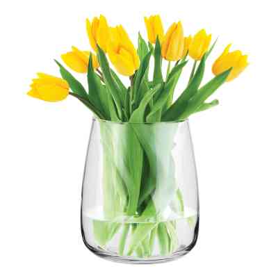 Ваза Trend Glass Olav 22.7 см (35020) Винница