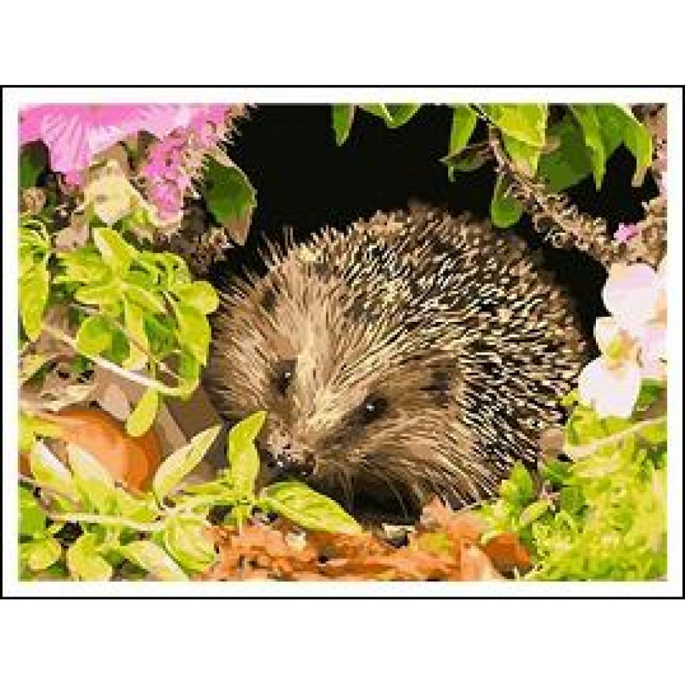 Картина за номерами на дереві 40*50 см "Josef Otten""Їжачок" (карт.уп+ фарби+пензлі) RAD5253, шт Київ - фото 1