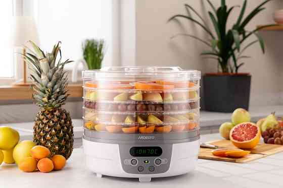 Сушарка для продуктів ARDESTO FDB-5321T, 250Вт, піддонів -5x3см, діаметр-32см, макс-70°С, таймер, електр. управління, пластик , білий Київ