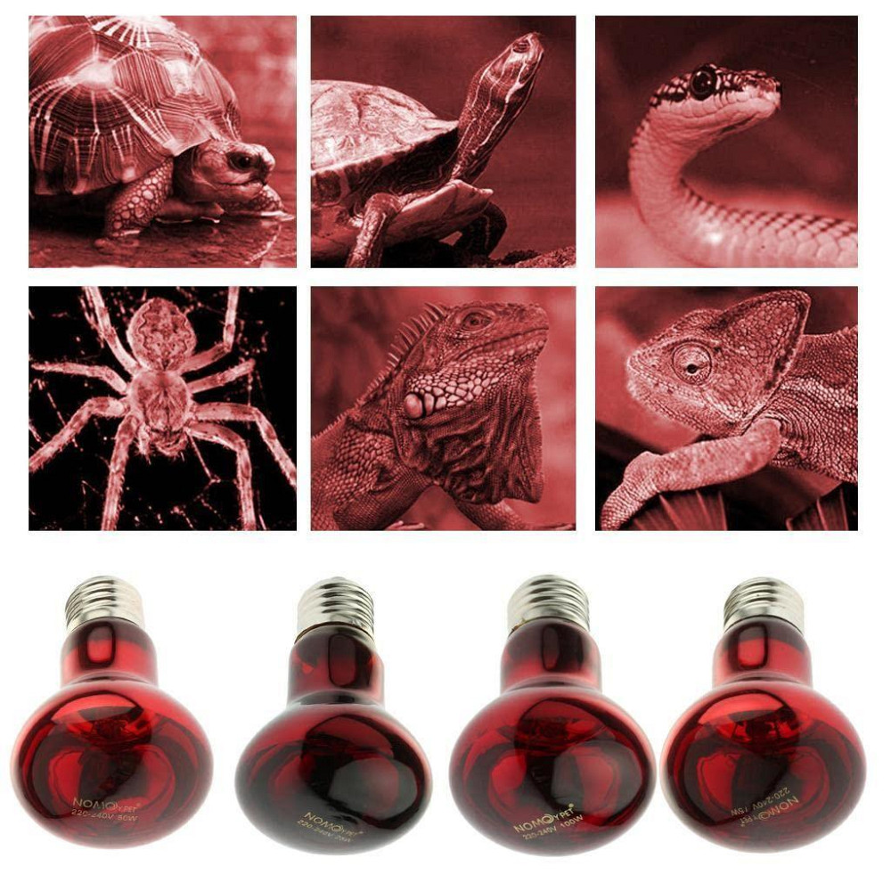 Лампа для обогрева террариумов и рептилий Киев - изображение 12