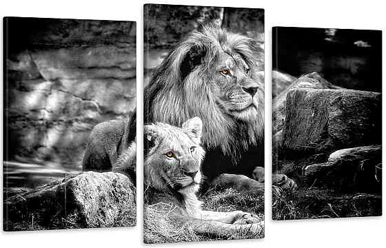 Модульная картина в гостиную / спальню Сімейство Левів   Art-600_3 100x150 см Киев