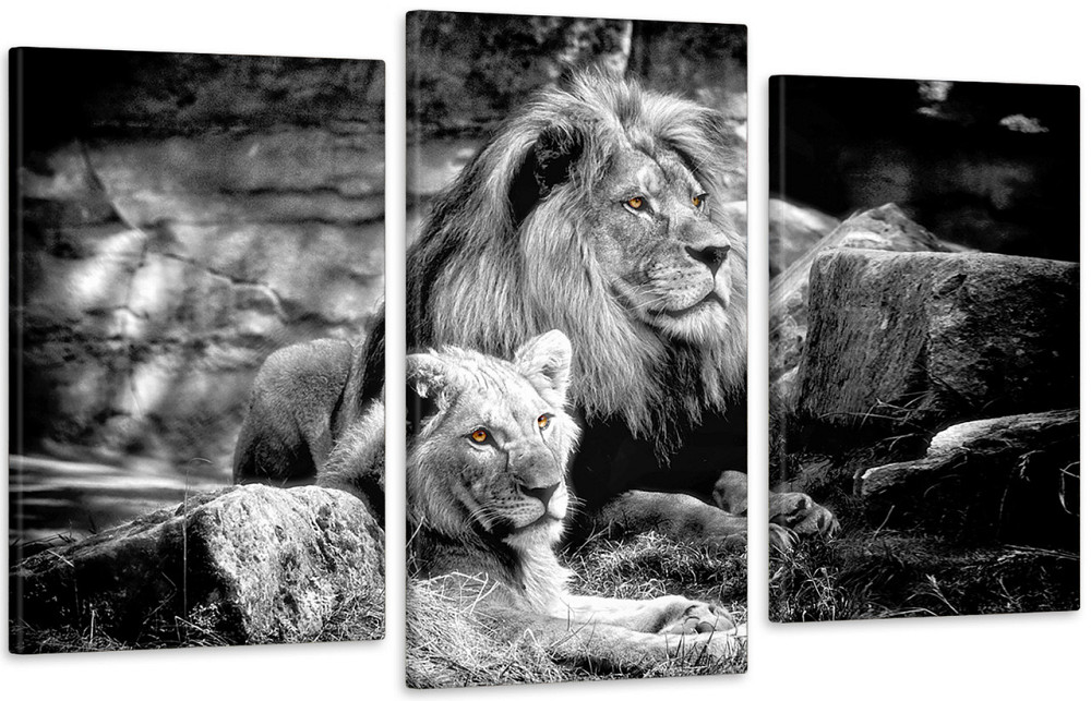 Модульная картина в гостиную / спальню Сімейство Левів   Art-600_3 100x150 см Киев - изображение 1