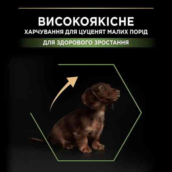 Сухой корм PRO PLAN Small & Mini Puppy  Киев