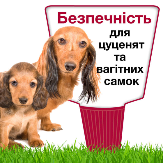 Краплі для собак 4-10 кг проти бліх і кліщів Bayer Elanco Advantix (Байєр Адвантис) 4 піпетки по 1 мл Запоріжжя