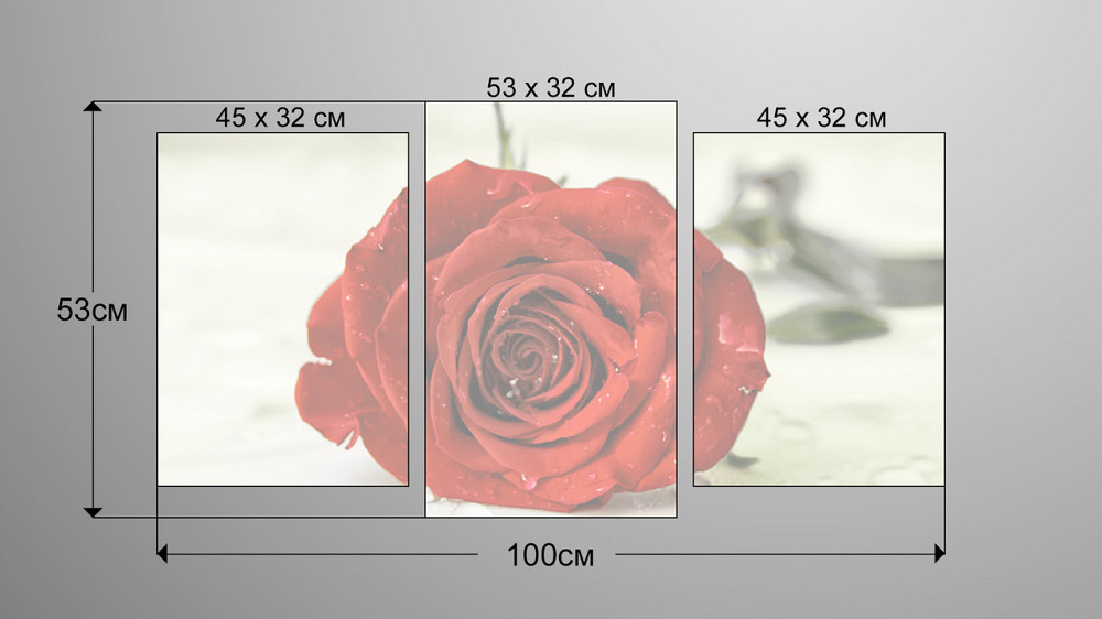 Модульна картина Троянда Квіти Art-27_3 Київ - фото 3