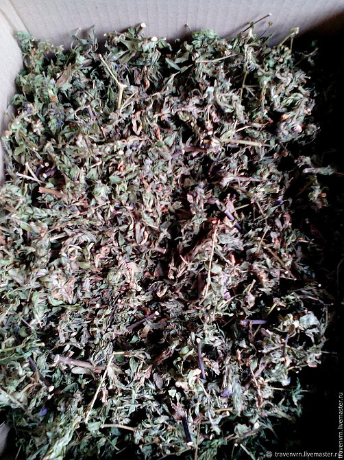 Вовчуг польовий (Стальник полевой) 100г master sem Киев - изображение 2