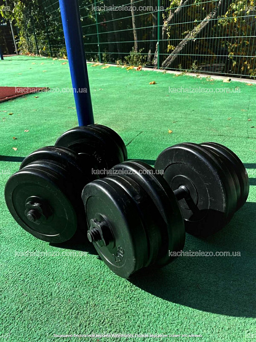 Гантели наборные 2 по 20 кг с ABS покрытием Гантели, гири, штанги и диски битумные Киев - изображение 1